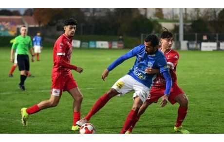 [REVUE DE PRESSE 📰]